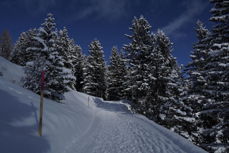 Betriebsferien nur von 05. bis 08. Januar 2026