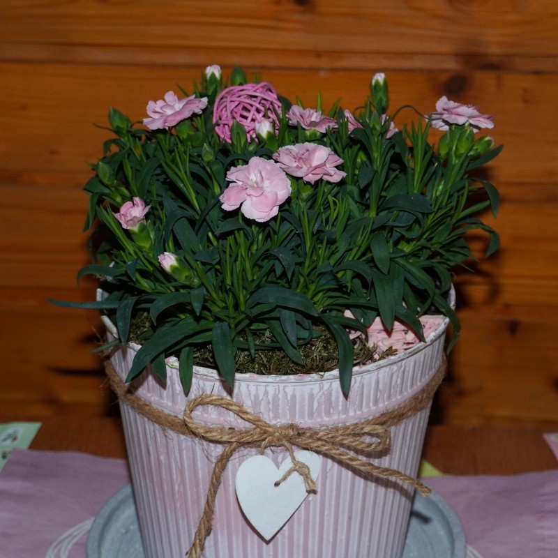 Betriebsferien nur von 13. bis 17. Februar 2026